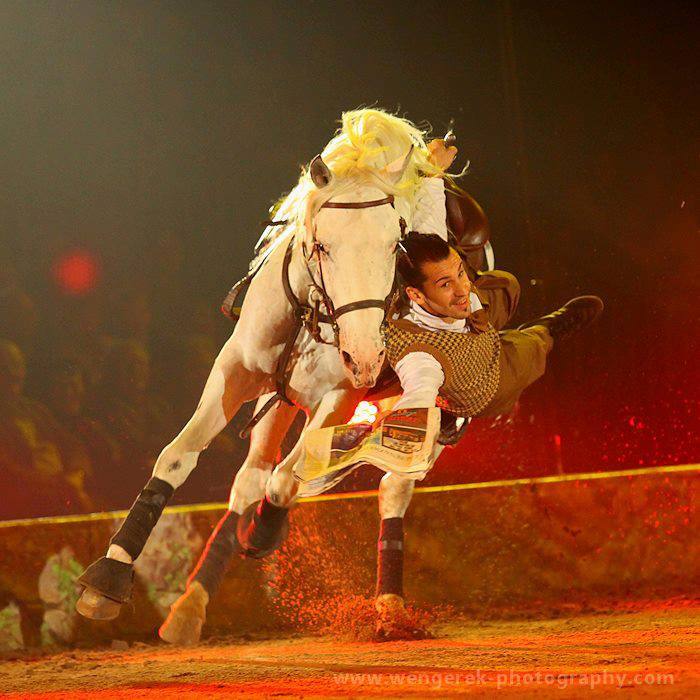Stunt Horses - Karolina Wengerek